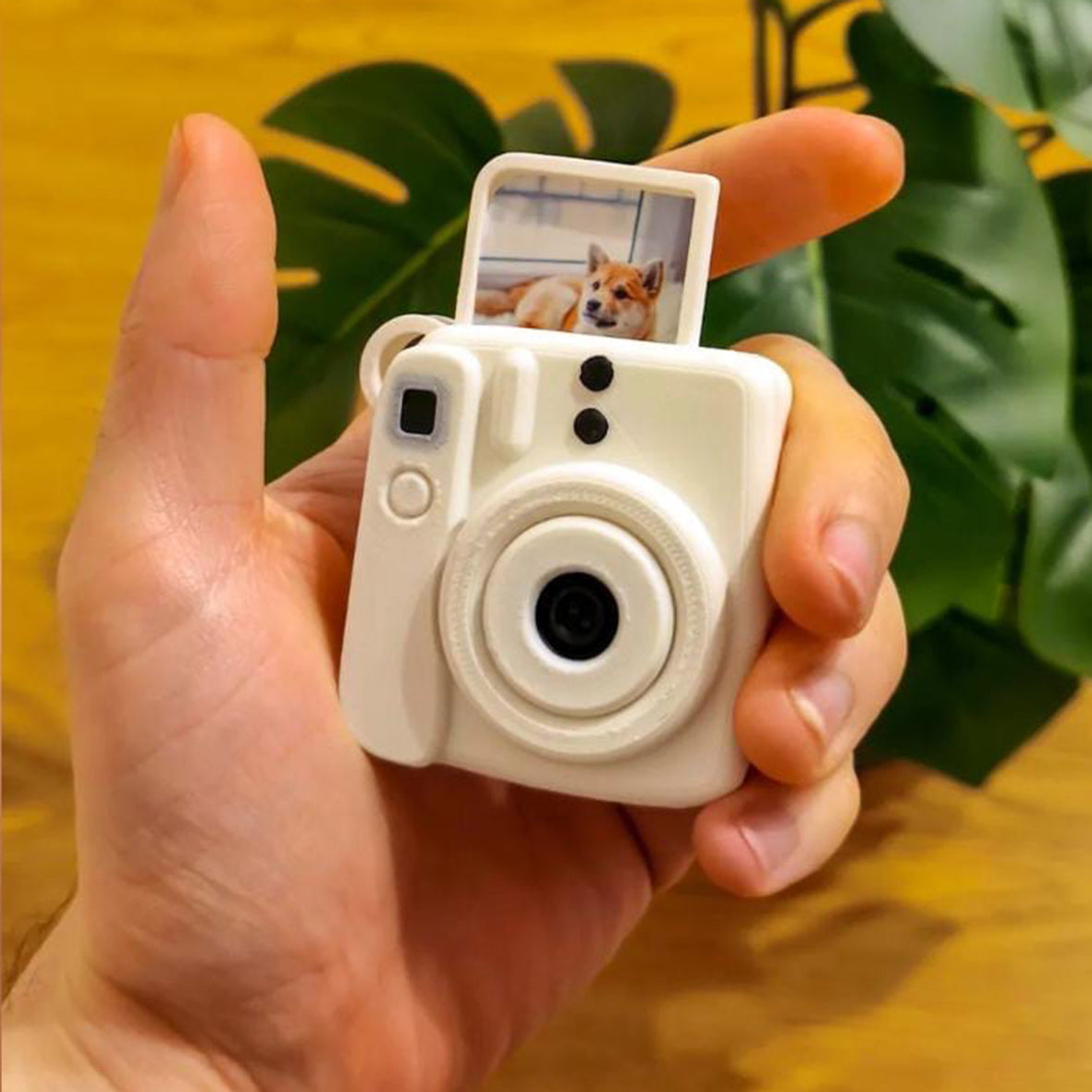 Mini InstaX