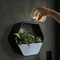 Vaso de Planta de Parede